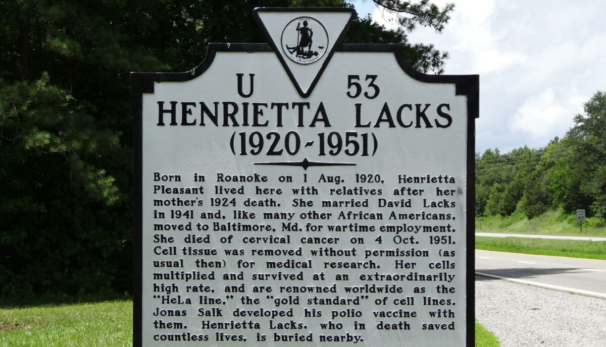 Gedenktafel für Henrietta Lacks. Aufschrift: U53 HENRIETTA LACKS (1920 - 1951) Born in Roanoke on 1 Aug. 1920, Henrietta Pleasant lived here with relatives after her mother's 1924 death. She married David Lacks in 1941 and, like many other African Americans, moved to Baltimore, Md. for wartime employment. She died of cervical cancer on 4 Oct. 1951. Cell tissue was removed without permission (as usual then) for medical research. Her cells multipled and survived at an extraordinarily high rate, and are renowned worldwide as the "HeLa line," the "gold standard" of cell lines. Jonas Salk developed his polio vaccine with them. Henrietta Lacks, who in death saved countless lives, is buried nearby.
